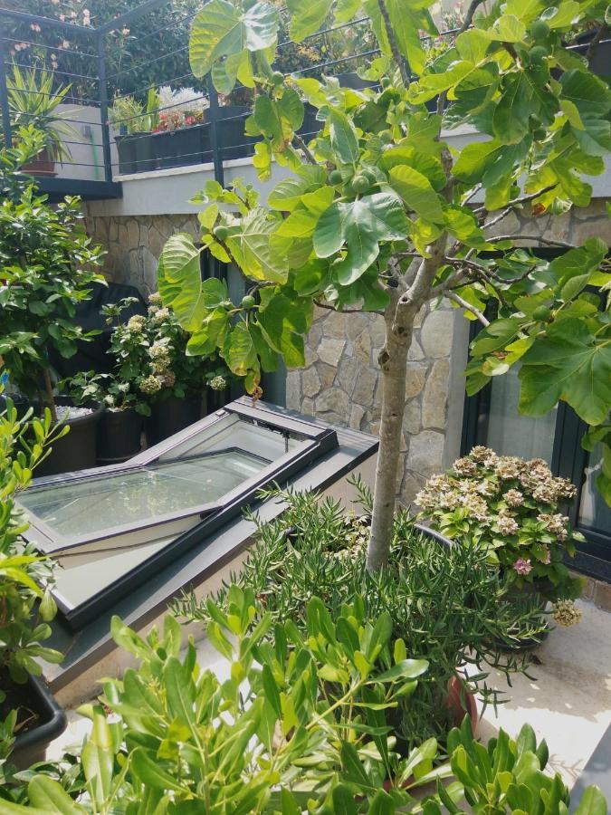 Artspace Location-Opatija-3 Bedroom House With Rooftop Garden By Beach מראה חיצוני תמונה
